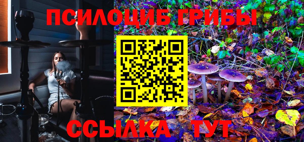 Псилоцибиновые грибы мицелий  Вход с VPN  Муром 