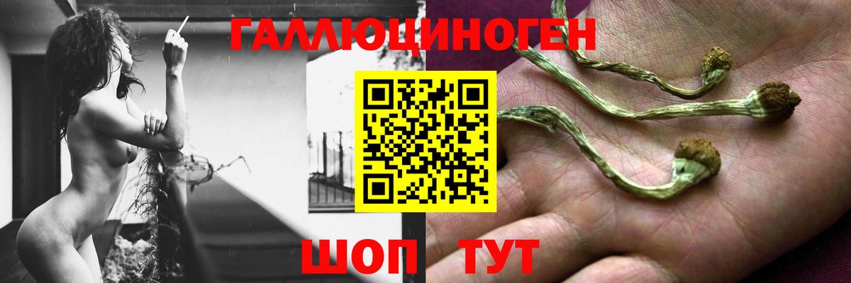 Псилоцибиновые грибы MAGIC MUSHROOMS Муром